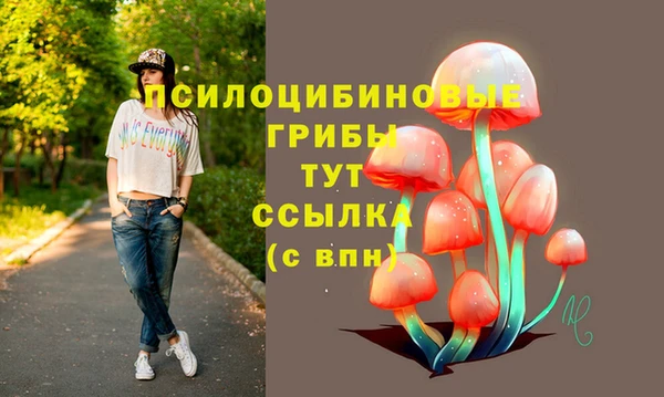 индика Алзамай