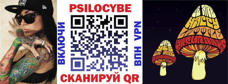 Псилоцибиновые грибы Psilocybine cubensis  блэк спрут онион  Новоуральск  как найти закладки 